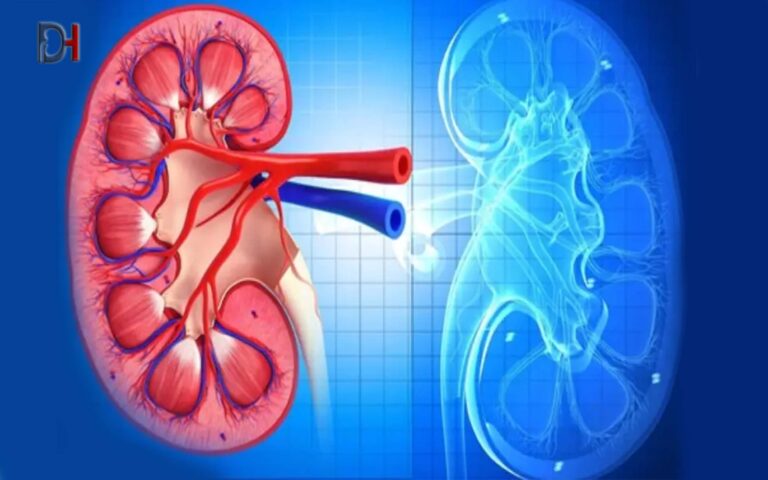 علائم هشدار دهنده کلیه